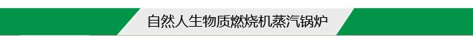 自然人生物質燃燒機蒸汽鍋爐 自然人生物質燃燒機蒸汽鍋爐